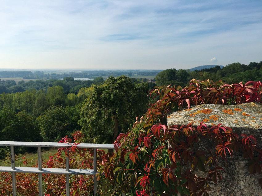 Hotel Schloss Leitheim ภายนอก รูปภาพ